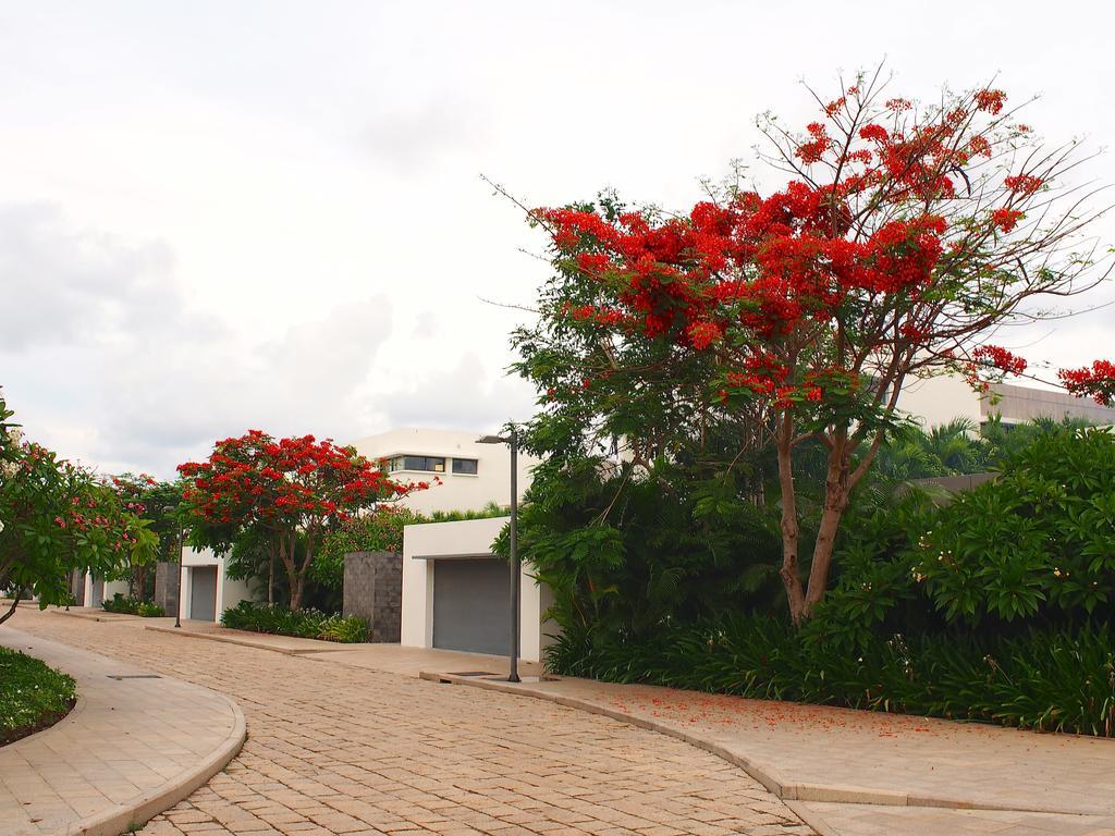 فونج تاو Sanctuary Residential Resort Community المظهر الخارجي الصورة